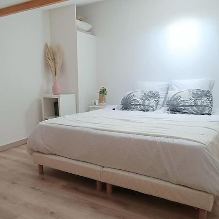 Loft En Centre Ville Perpignan Exterior foto